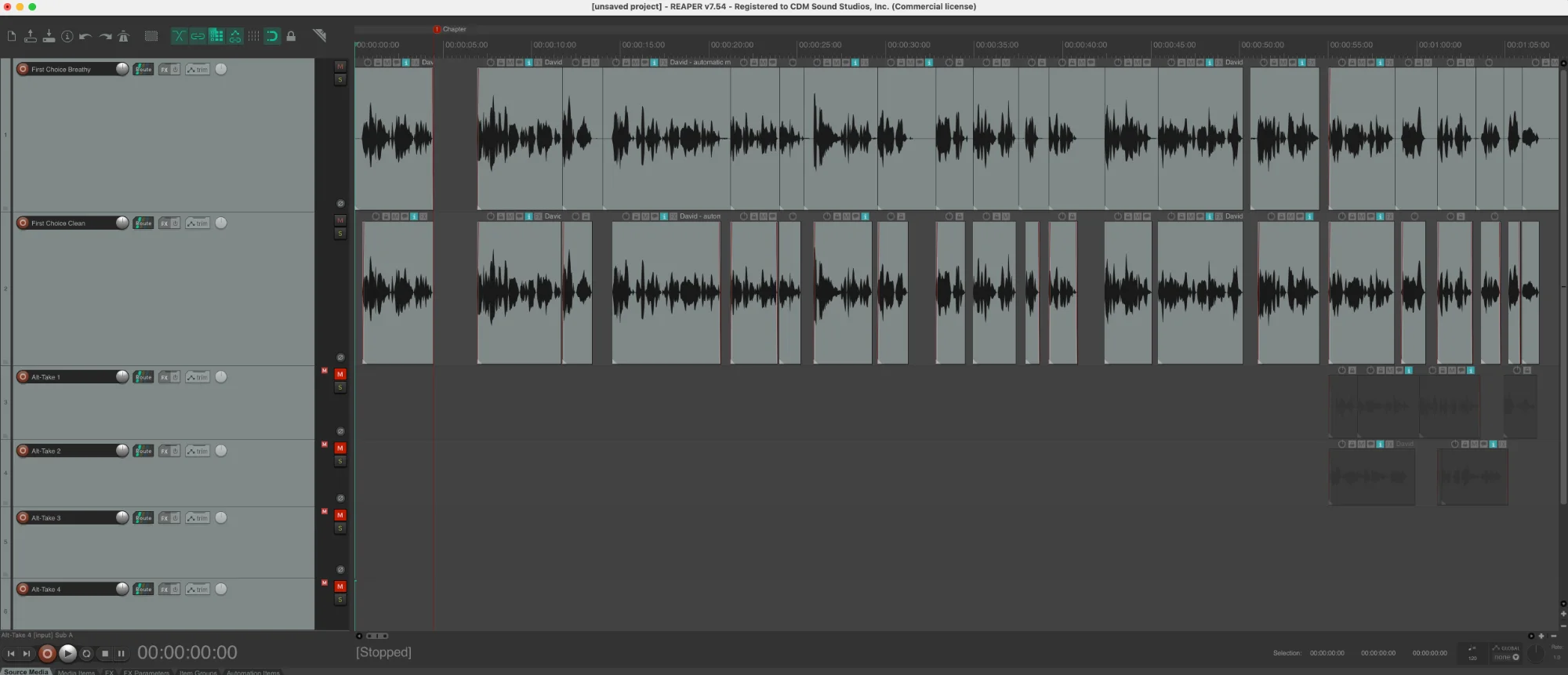 Rhapid audiobook production software